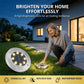 🔥 Oferta especial: 50% DE DESCONTO 🔥 Lâmpada de jardim em aço inoxidável alimentada a energia solar com 8 luzes LED