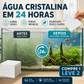 🐠 COMPRE 1 E GANHE 1 GRÁTIS! ✨ FOLHAS CLARIFICANTES PARA AQUÁRIOS - Água cristalina em 24 horas, elimina odores e impurezas, seguro para todos os peixes e plantas 🌿