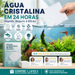 🐠 COMPRE 1 E GANHE 1 GRÁTIS! ✨ FOLHAS CLARIFICANTES PARA AQUÁRIOS - Água cristalina em 24 horas, elimina odores e impurezas, seguro para todos os peixes e plantas 🌿