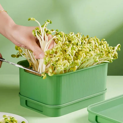 🔥 Caixa empilhável para cultivo de brotos de feijão – Design com várias camadas, perfeita para uso doméstico, para uma vida saudável e ecológica