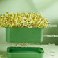 🔥 Caixa empilhável para cultivo de brotos de feijão – Design com várias camadas, perfeita para uso doméstico, para uma vida saudável e ecológica