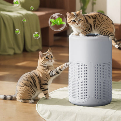 🌀Purificador de ar para casa🌿Inclui filtro e pastilhas de aromaterapi
