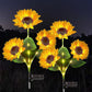 🌻46% OFF FLASH SALE ! Sunflower Solar Lights – Glowing Decor for Garden ✨🌿【Hurry Up】