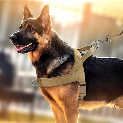 🥳PROMOÇÃO QUENTE 2026!🥳🐕💪 50% DE DESCONTO! Arnês tático resistente para cães – Sem puxões, sem sufoco. 🛡️✨