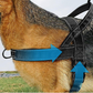 🥳PROMOÇÃO QUENTE 2026!🥳🐕💪 50% DE DESCONTO! Arnês tático resistente para cães – Sem puxões, sem sufoco. 🛡️✨
