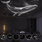 🔥50% OFF!🔥2-in-1 Starry Sky Projector & Night Light