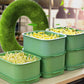 Stackable Bean Sprout Grower Box