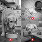 ⏳Desconto de 49% por tempo limitado🐶🦴Tigela para cães Roll-N-Lick: o melhor comedouro de guloseimas líquidas. Tigela anti-engasgo para cães com bola rolante