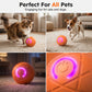 ⏰🔥50% DE DESCONTO POR TEMPO LIMITADO!🔥Mais de 50 mil unidades vendidas! 🐾 BOLA INTELIGENTE PARA ANIMAIS DE ESTIMAÇÃO COM SALTO AUTOMÁTICO E CONTROLO REMOTO — 3 modos interativos | E-TPU resistente à mastigação | Recarregável por USB-C 🎾